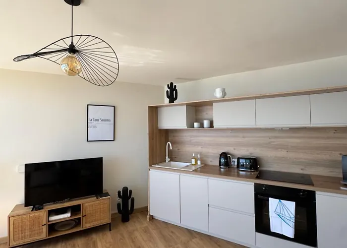 Apartament La Tour Somma Valras-Plage